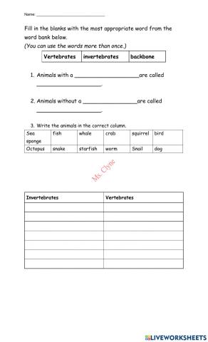 Vertebrates and Invertebrates