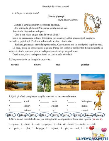 Exerciții de scriere corectă