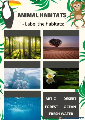 Animal habitats