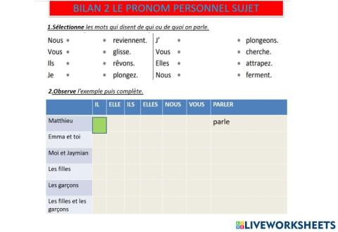 Pronom personnel s10