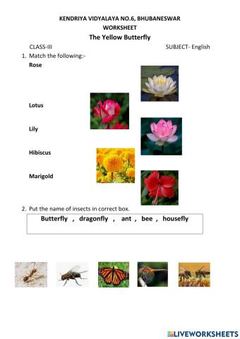 The Yellow Butterfly