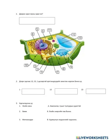 Plant cell