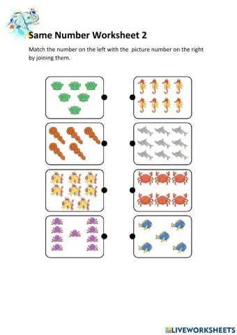 Same Number Worksheet 2