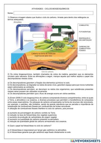 Ciclos biogeoquímicos