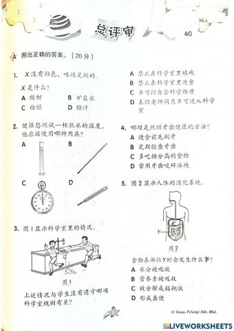 三年级科学总评审