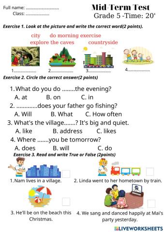 Mid-term Test Grade 5