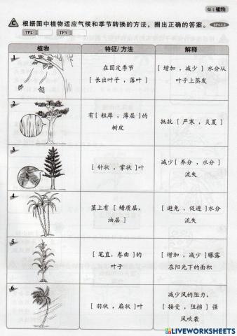 植物的物种生存