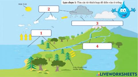 Vòng tuần hoàn của nước