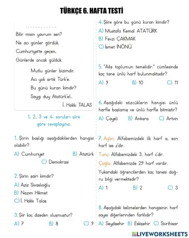 Türkçe 6. Hafta Testi