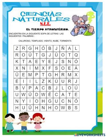 N.E.E. Tiempo atmosférico