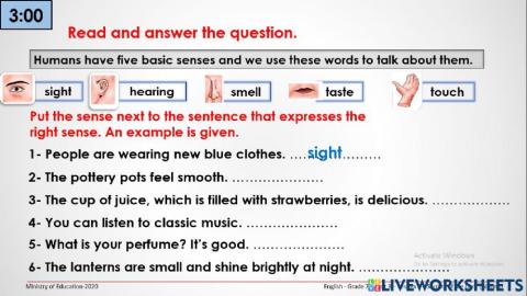 5 senses