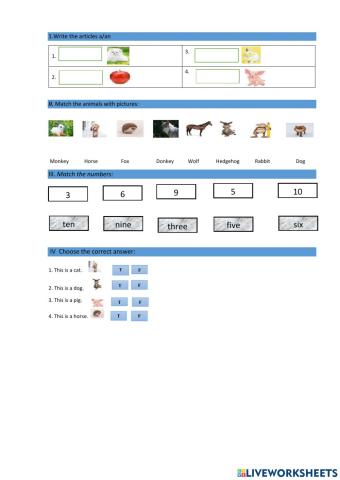 Activitate de invatare