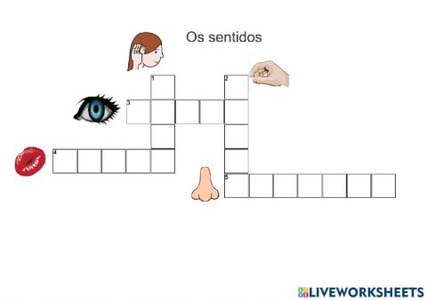 Os sentidos