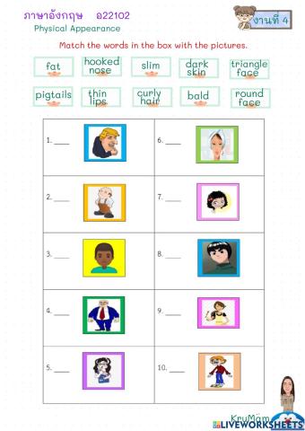Physical appearance m2-4