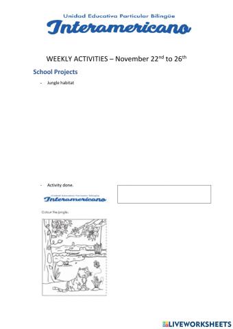 Weekly activities 29