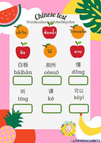 Chinese test
