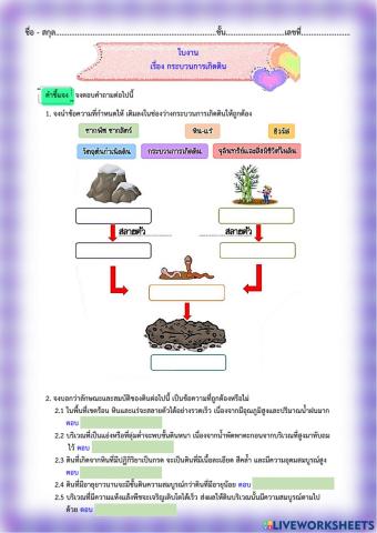 ใบงาน เรื่อง กระบวนการเกิดดิน