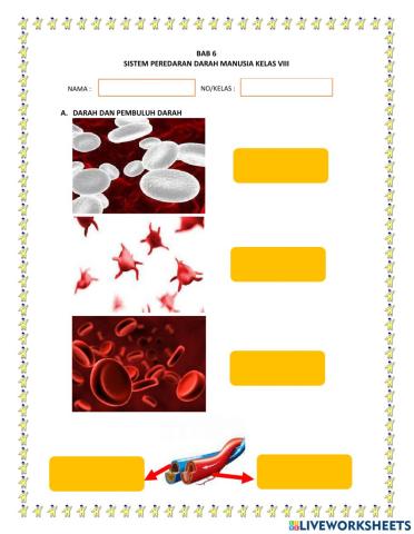 Sistem peredarah darah manusia