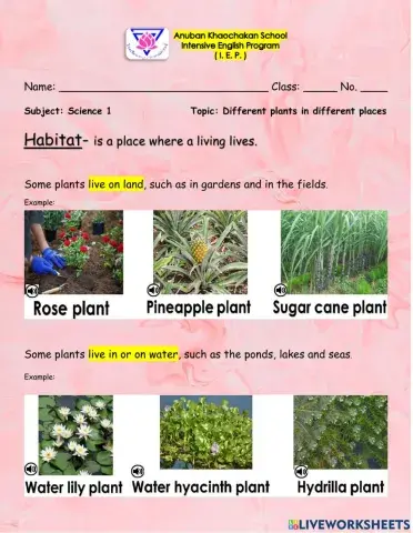 Different plants habitat