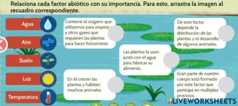 Factores abioticos