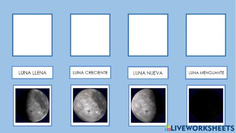 Fases de la luna