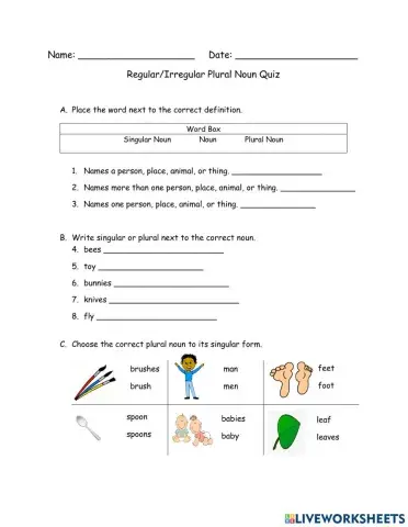 Regular-Irregular Plural Noun