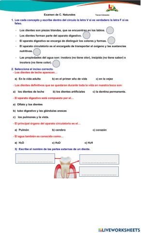 Conocimiento general