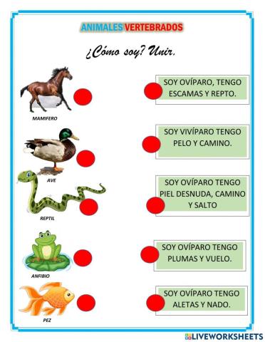 Animales vertebrados