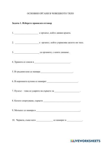 Основни органи в човешкото тяло