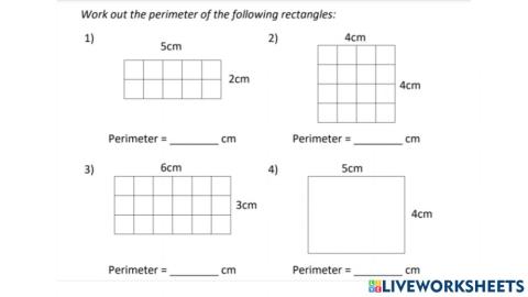 Perimeter