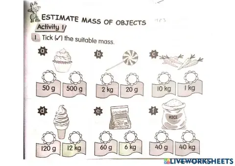 Estimate mass of objects