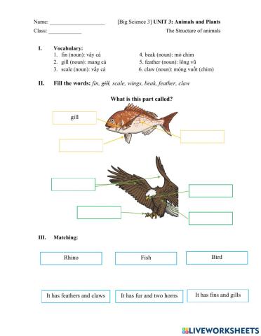 Big Science 3 The structure of animals
