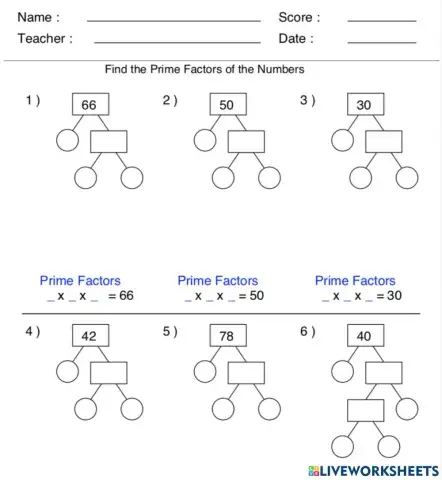 Factor Tree
