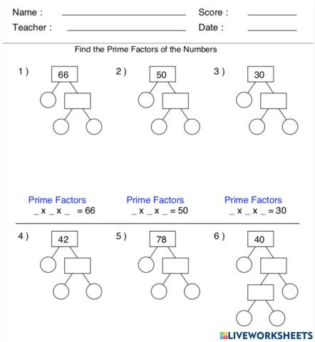 Factor Tree