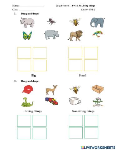 Big Science 1 Living things-Review