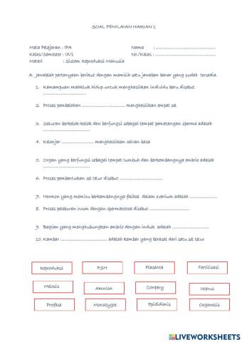 PH 1 Sistem Reproduksi Manusia