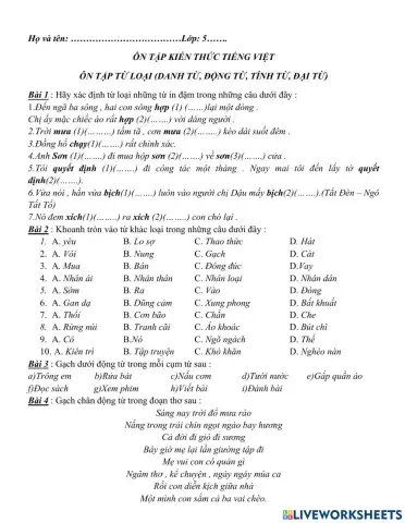 Ôn tập về từ loại