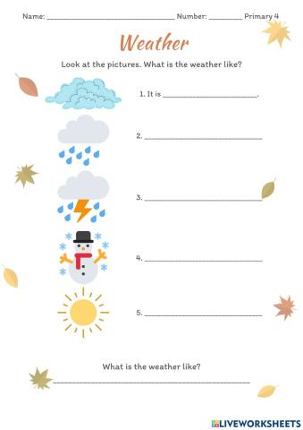 What's the weather like?