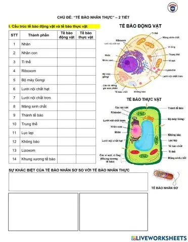 Tế bào nhân thực