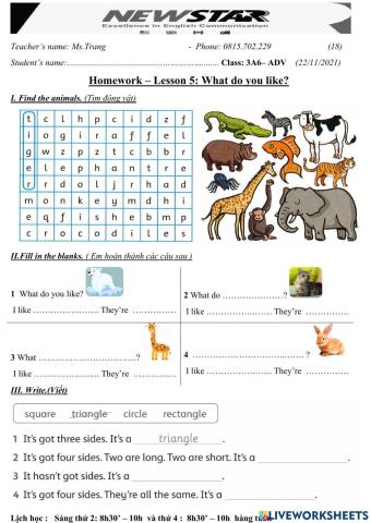3A6-Lesson 5-What do you like?