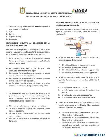 Evaluación Final Ciencias Naturales III Período