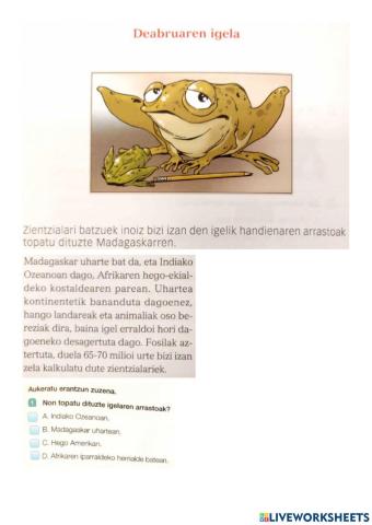 Igel erraldoia Madagaskarren (moldatua)