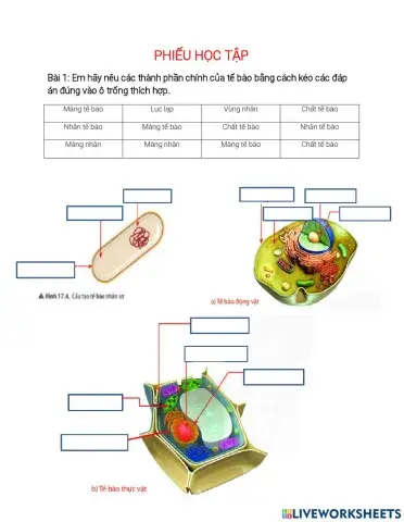 Thành phần của tế bào