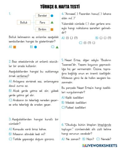 Türkçe 8. Hafta Testi