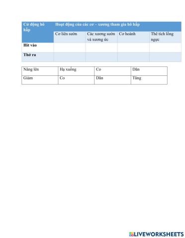 Hoạt động số 1