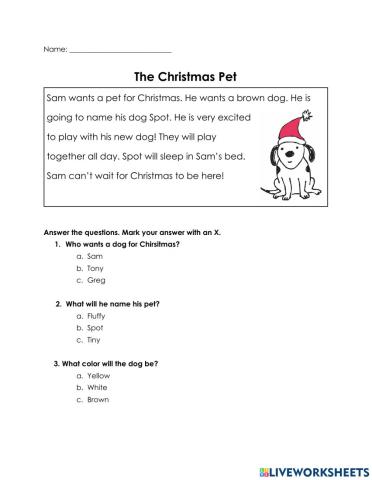 Reading Comprehension Christmas Pet