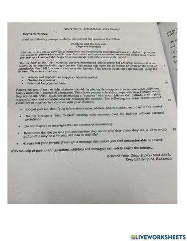 BJC Grammar and Usage: Children and Internet