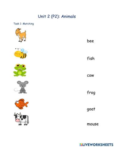 Animals (P2)