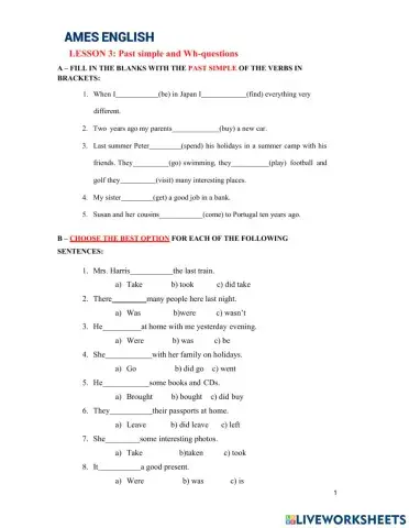 Past Simple and Wh questions