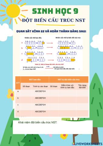 Đột biến cấu trúc NST